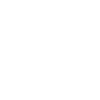 1337LiKKeR's emblem