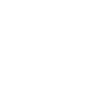 SalimShady187's emblem