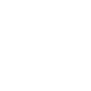 Akkaynimax's emblem