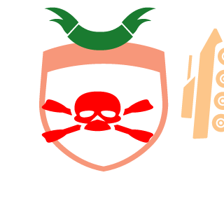 55th special FORCE's emblem