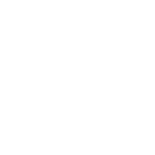 Borg002's emblem