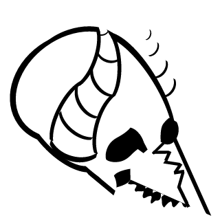 boru6's emblem