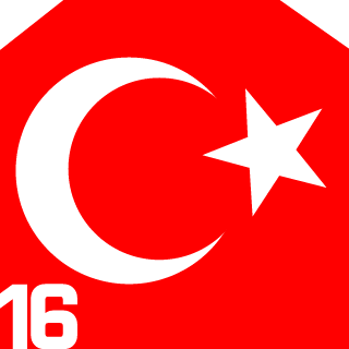 -TURK-SOLDIER-01's emblem