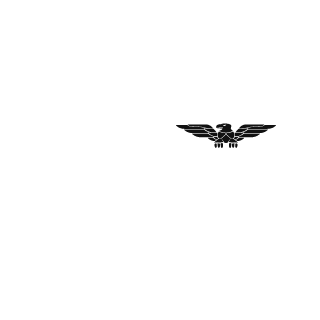 8ullet_Dust's emblem