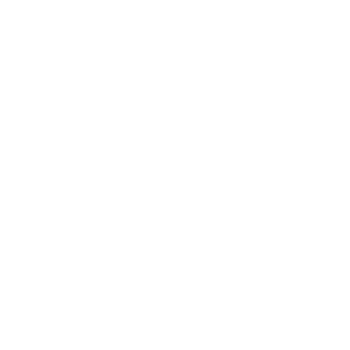 scm2217's emblem