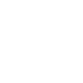ZnarfBR's emblem