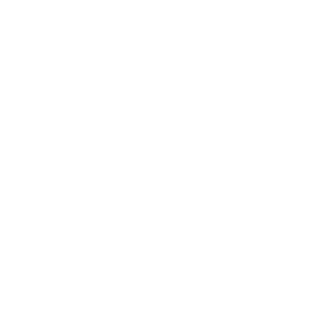 rusky_partisan_'s emblem