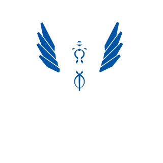 FaceKicks's emblem