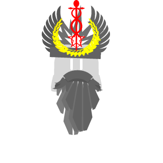DedoosS's emblem