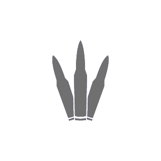 Austre's emblem