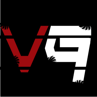 VeteraN GaminG's emblem
