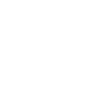 xAust1n's emblem