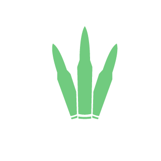 brNs13's emblem