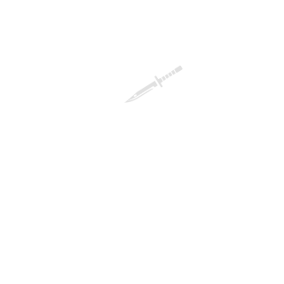 Lolpaladin's emblem
