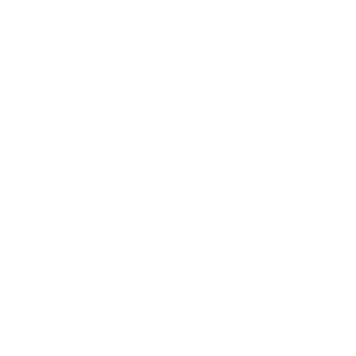 Brometheus_V_'s emblem