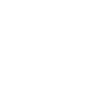 Priemets31's emblem