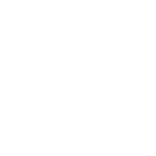 Metacrown's emblem