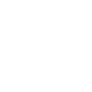 fapmoraes's emblem