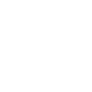 Zo0m_4k's emblem