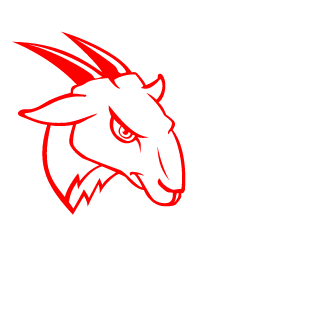 SzwagierPapieza's emblem