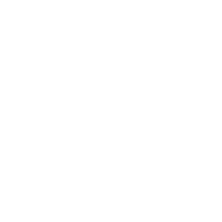 fajny336's emblem