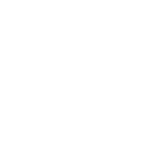 TLi_Nator's emblem