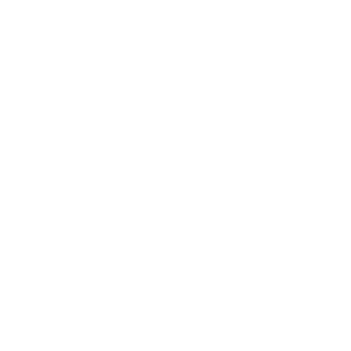SirAltz23's emblem