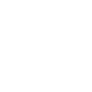 Infinity309's emblem