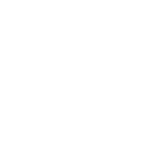 Bulltacc's emblem