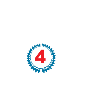 NvZ25's emblem