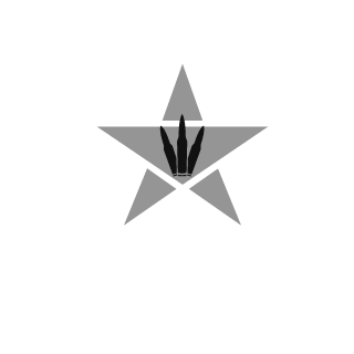wyzjameswu1's emblem