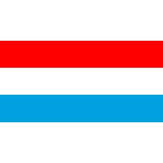 AmeerLuiz55's emblem