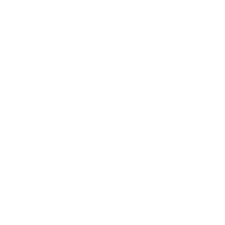 ppnwkjunk's emblem