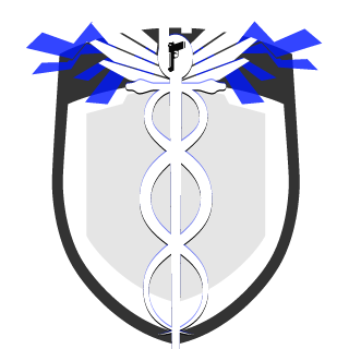boliinh0's emblem