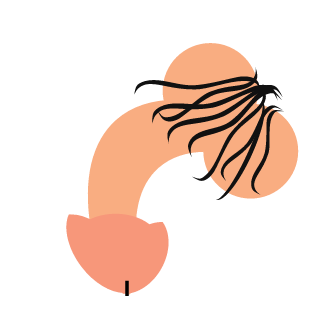 jhjh0512's emblem