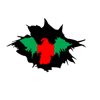 rzq hyper's emblem