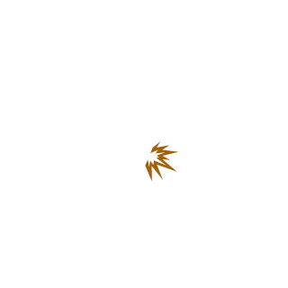 TackyWacky2375's emblem