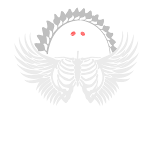Fox8042000's emblem
