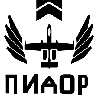 IIReanimationII's emblem