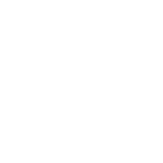 5dot5's emblem