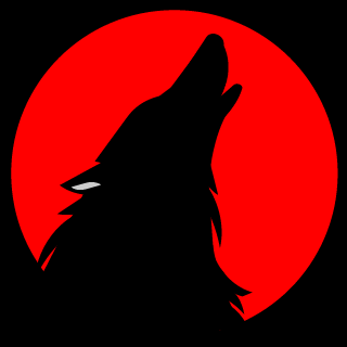 xtheWINDYcityx's emblem