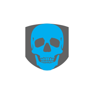 Simv13's emblem