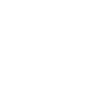 irq-five's emblem