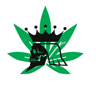 DG_V4N04s's emblem
