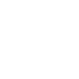 Minskiz's emblem