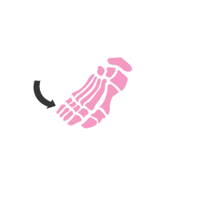 Official Toe Sommalier's emblem