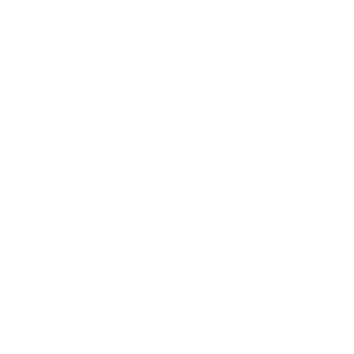 13_Kotik's emblem