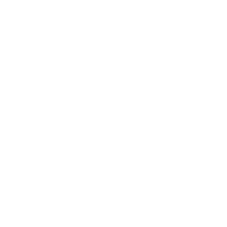 00AncheS00's emblem