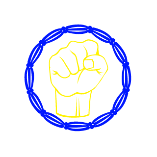 DiegoRC1's emblem