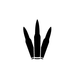 gstc13's emblem